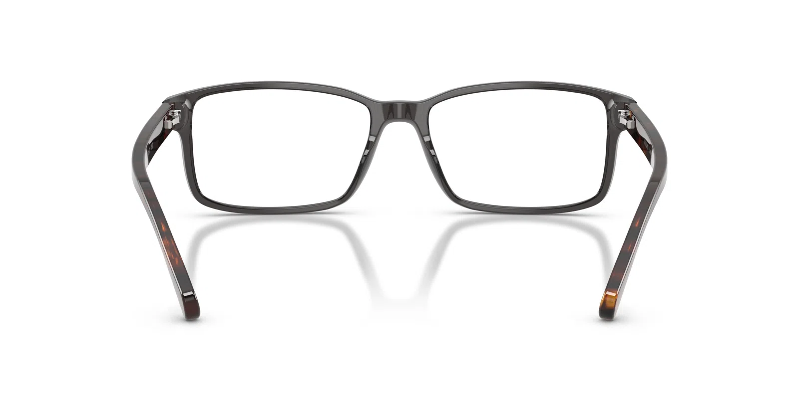 Polo 2123 Eyeglasses - view 53